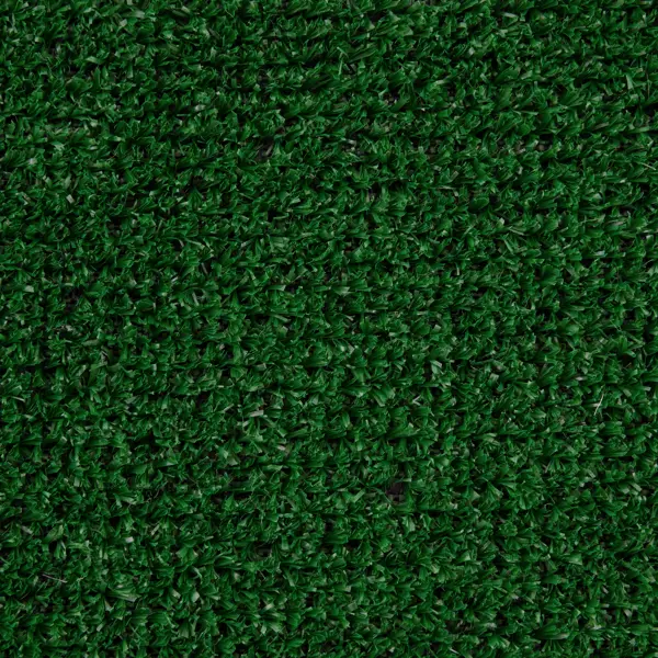 Искусственный газон «Grass» толщина 6 мм ширина 2 м (на отрез) цвет зелёный